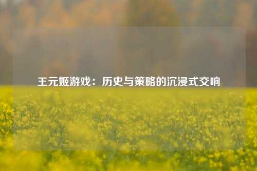 王元姬游戏：历史与策略的沉浸式交响