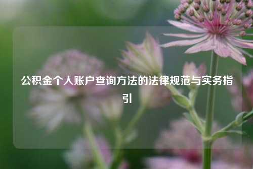 公积金个人账户查询方法的法律规范与实务指引