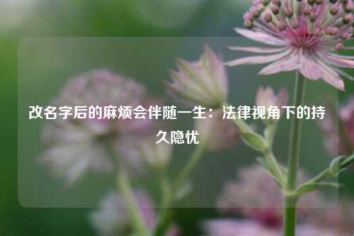 改名字后的麻烦会伴随一生：法律视角下的持久隐忧