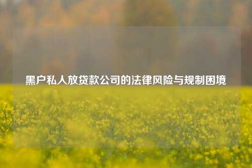 黑户私人放贷款公司的法律风险与规制困境