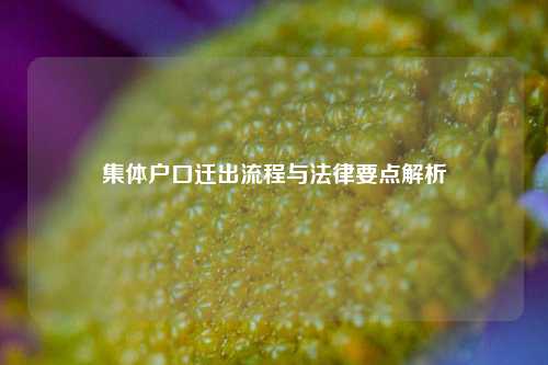 集体户口迁出流程与法律要点解析
