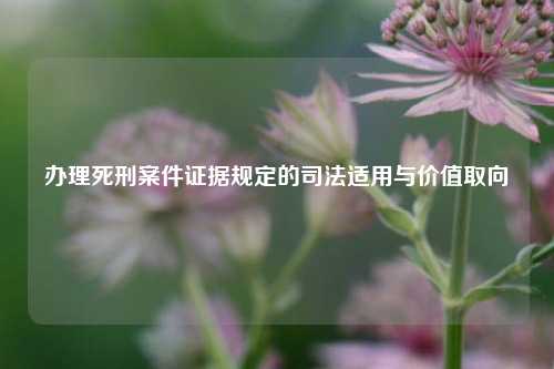 办理死刑案件证据规定的司法适用与价值取向
