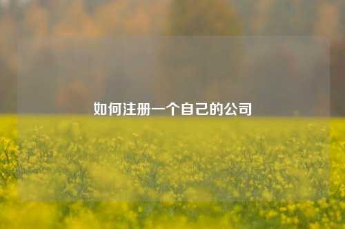 如何注册一个自己的公司