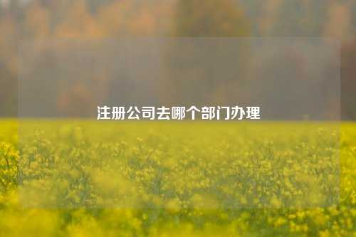 注册公司去哪个部门办理