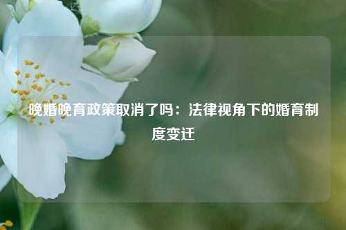 晚婚晚育政策取消了吗:法律视角下的婚育制度变迁