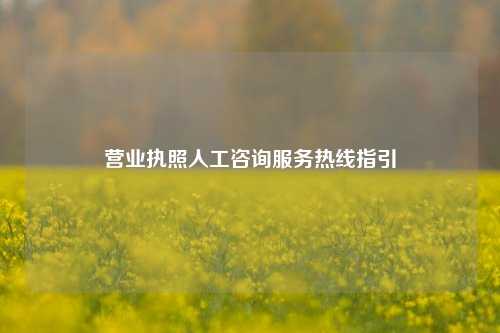 营业执照人工咨询服务热线指引