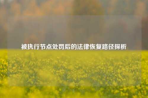 被执行节点处罚后的法律恢复路径探析