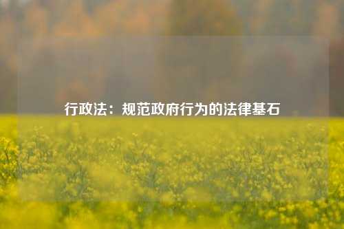 行政法：规范政府行为的法律基石