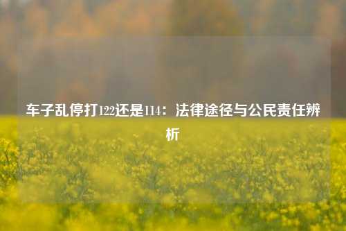 车子乱停打122还是114：法律途径与公民责任辨析