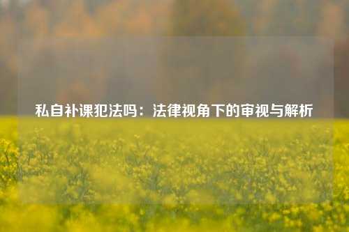 私自补课犯法吗：法律视角下的审视与解析