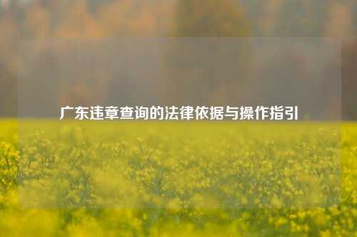 广东违章查询的法律依据与操作指引